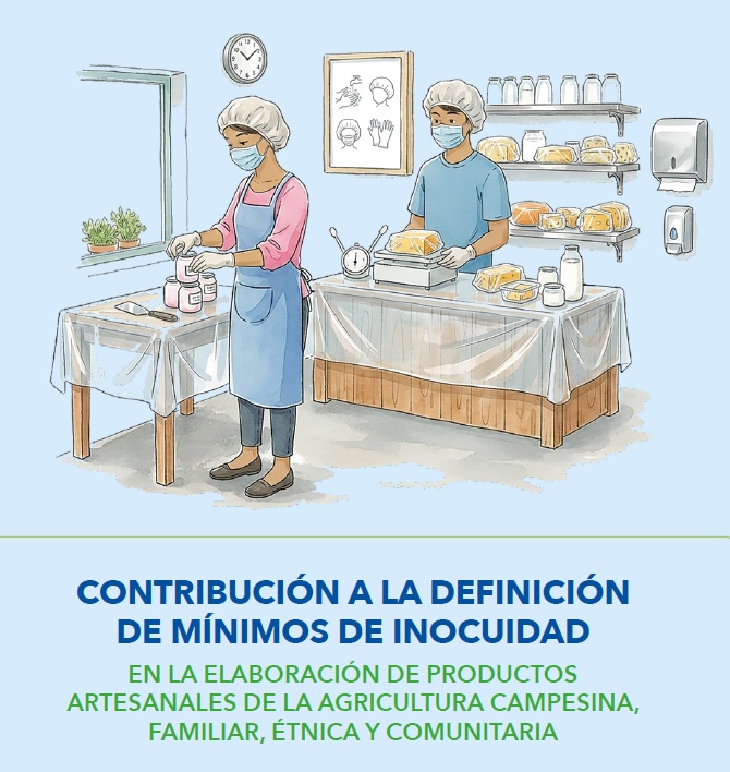 REVISTA 3